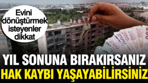 Haber gorseli